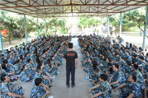 金馬爭霸，學院席地而坐